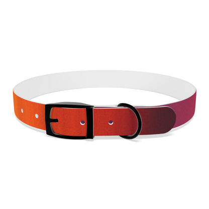 Vibrant Gradient Dog Collar