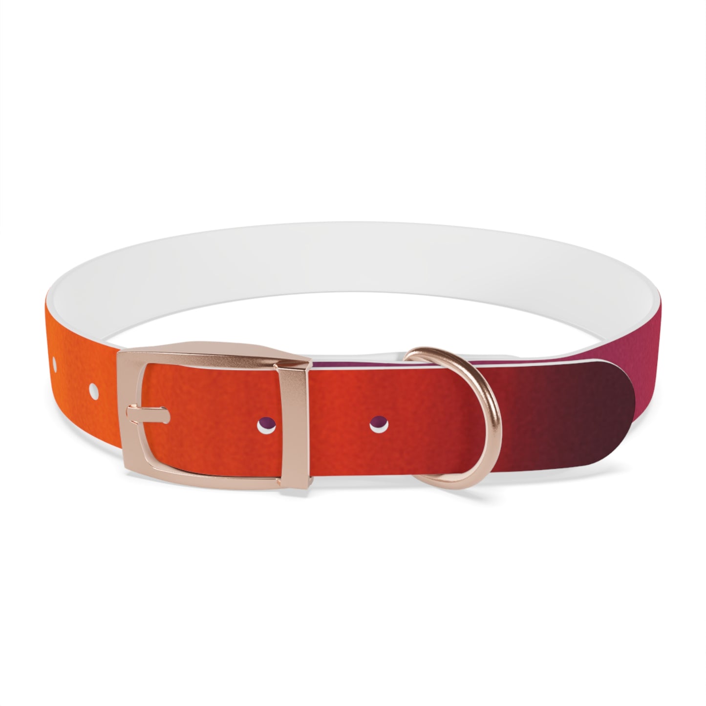 Vibrant Gradient Dog Collar