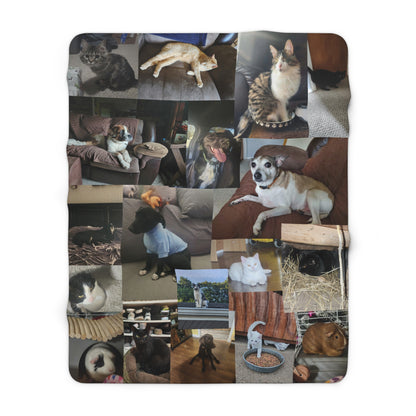 Cornell Pet Blanket