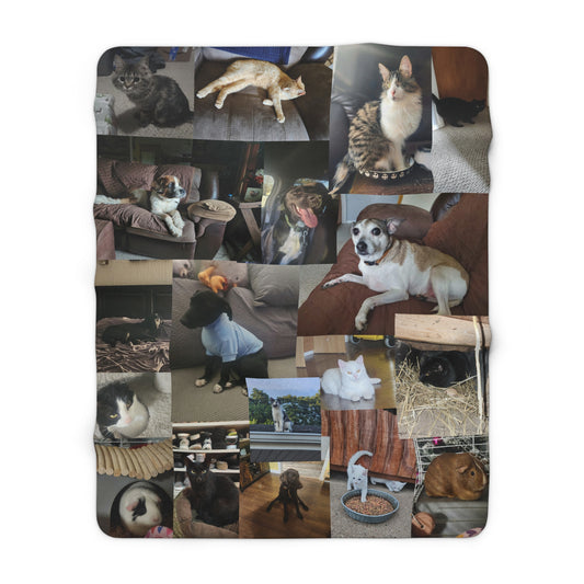 Cornell Pet Blanket