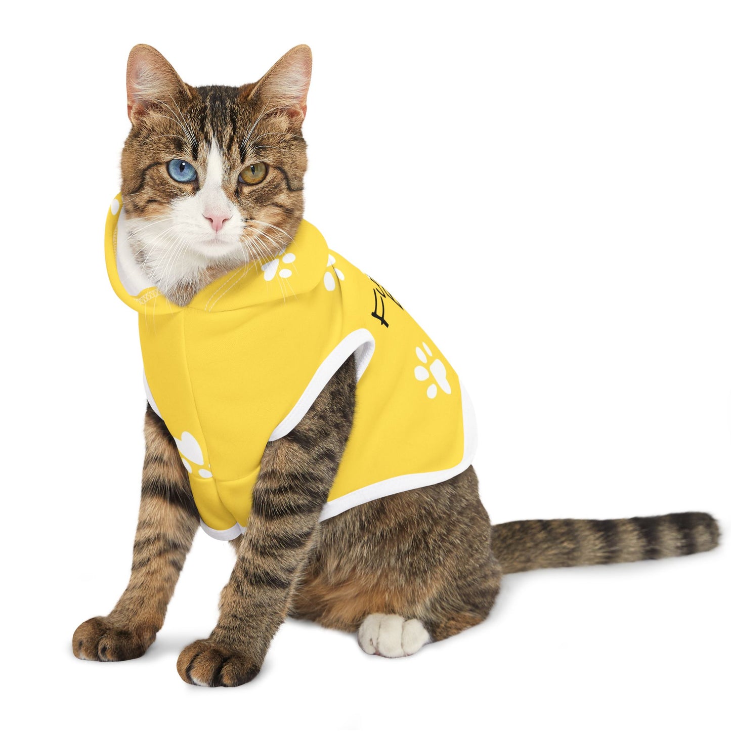 The Pawsitively Bright Dog Hoodie