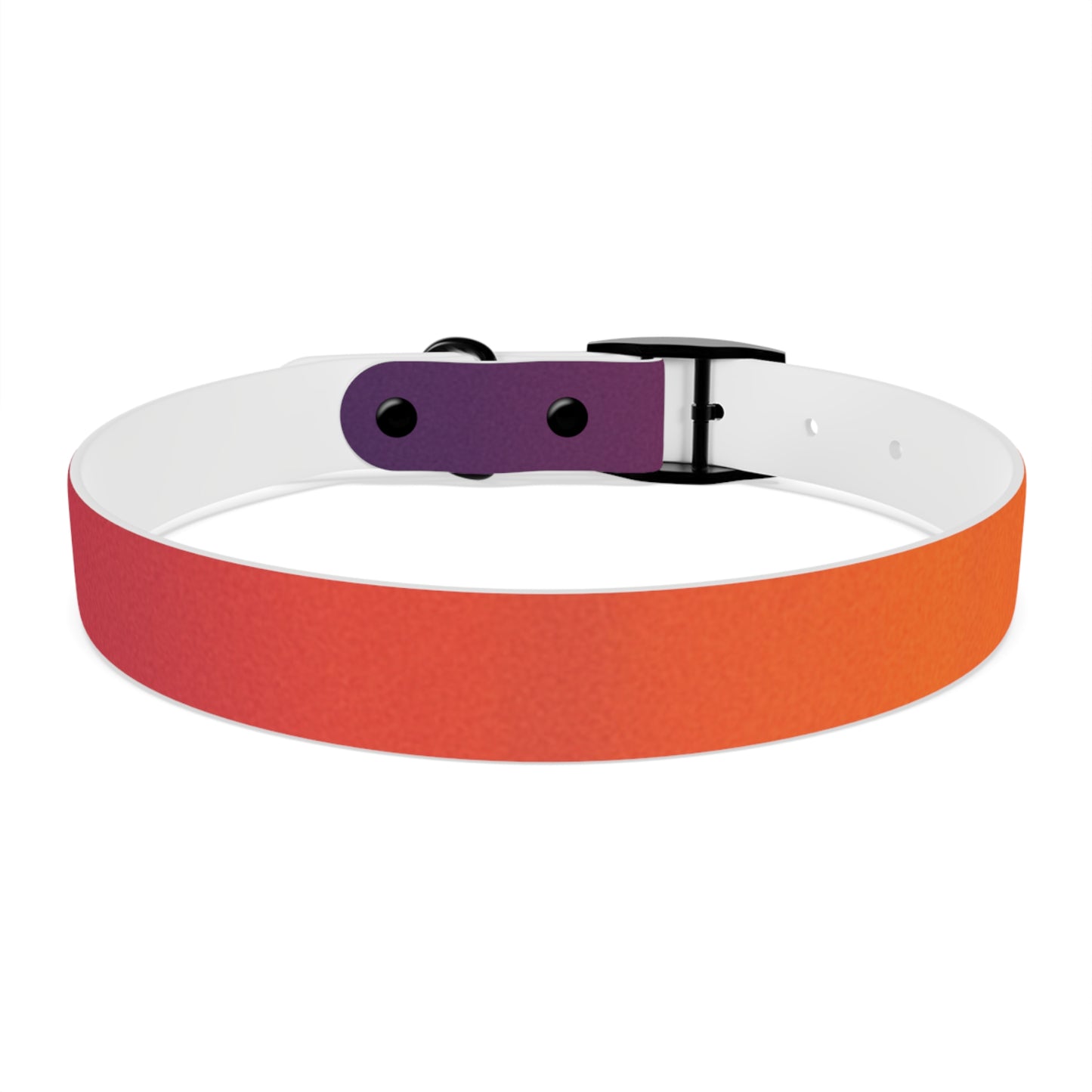 Vibrant Gradient Dog Collar