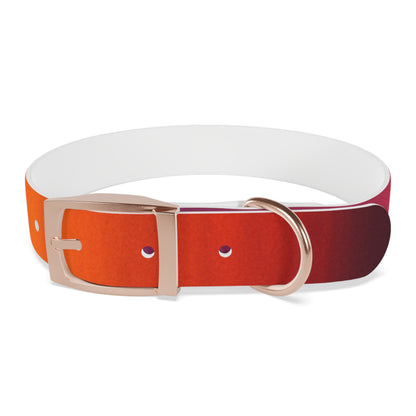 Vibrant Gradient Dog Collar