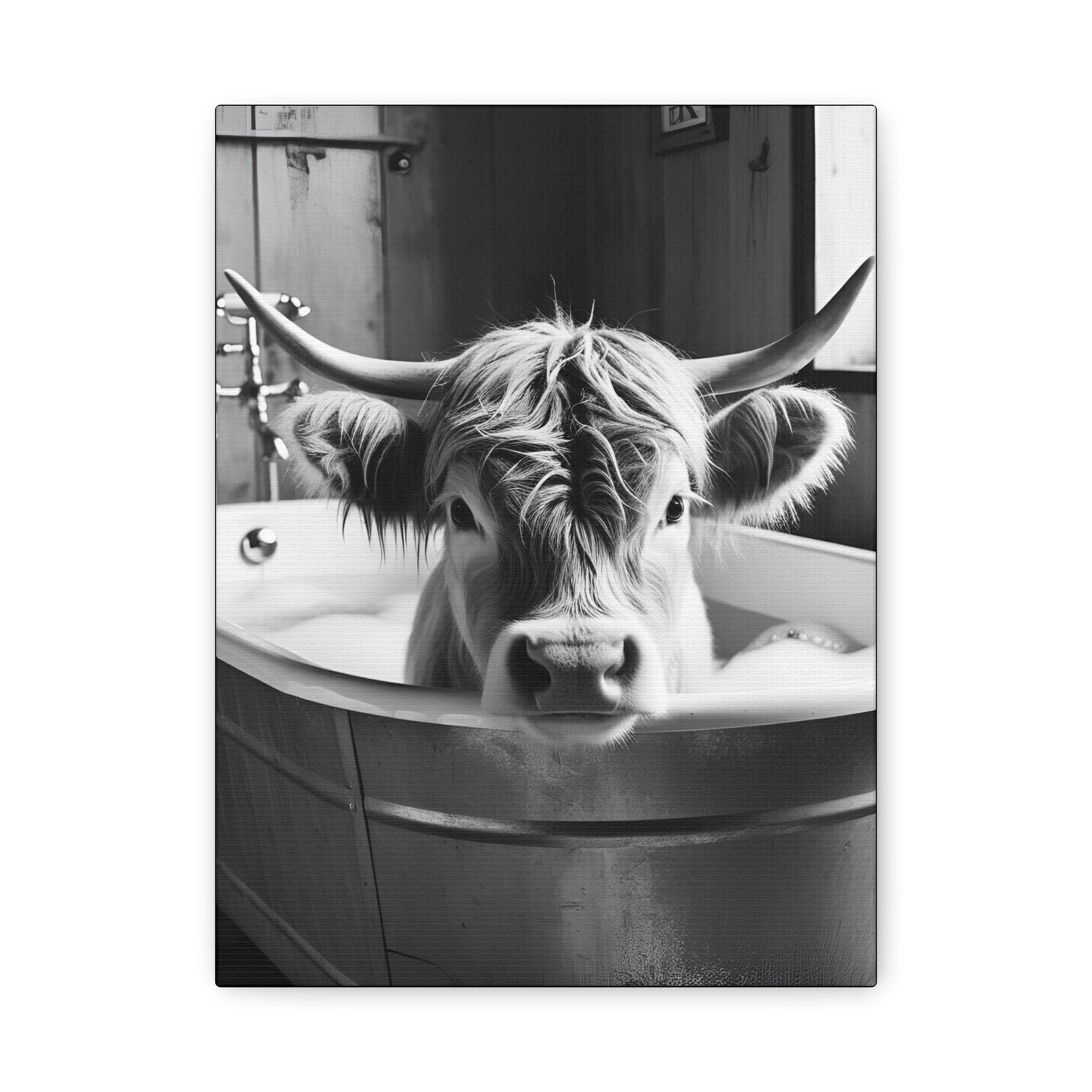 Highland Cow Bubbles Wall Art