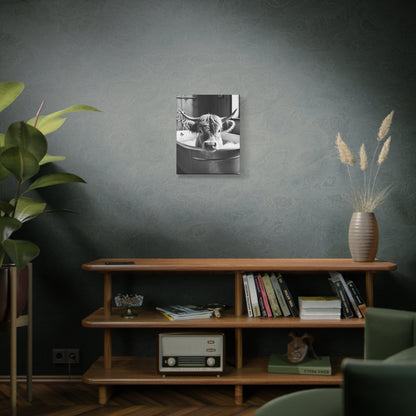 Highland Cow Bubbles Wall Art