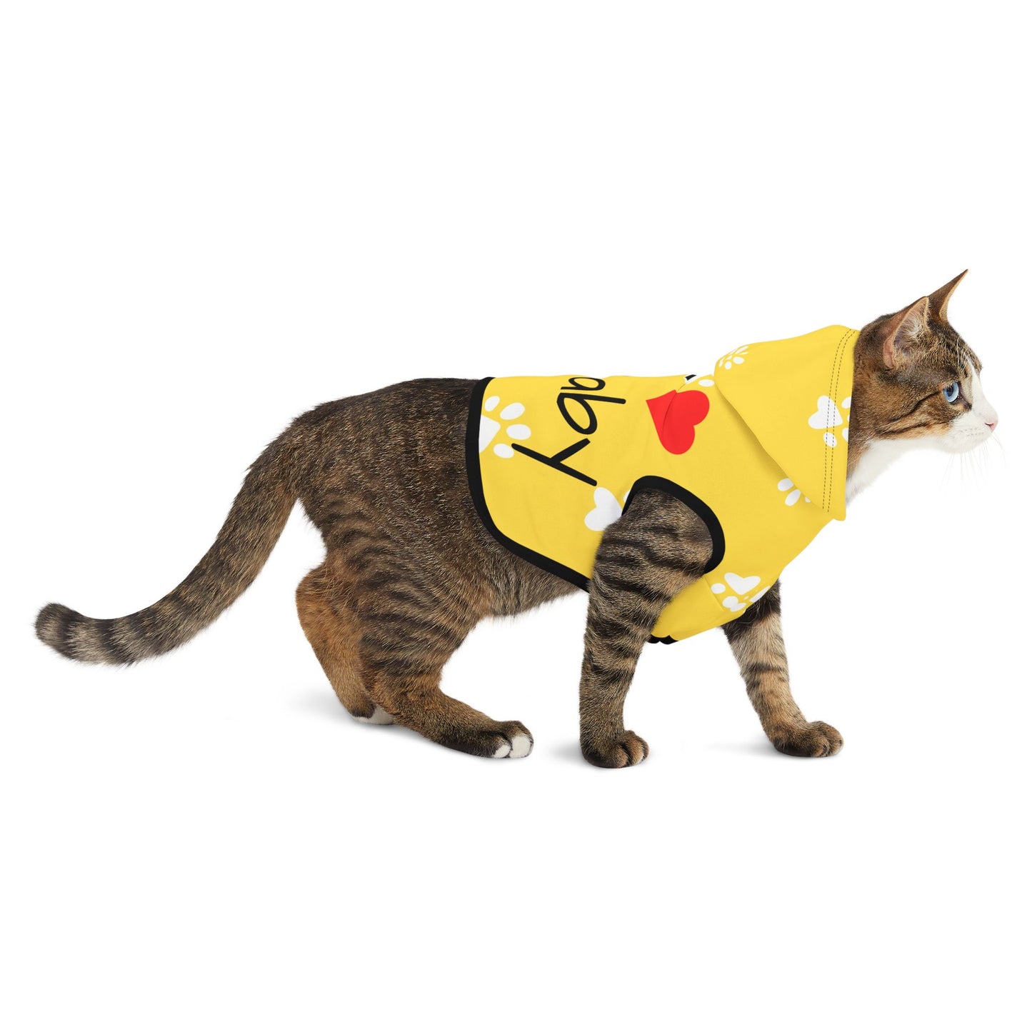 The Pawsitively Bright Dog Hoodie