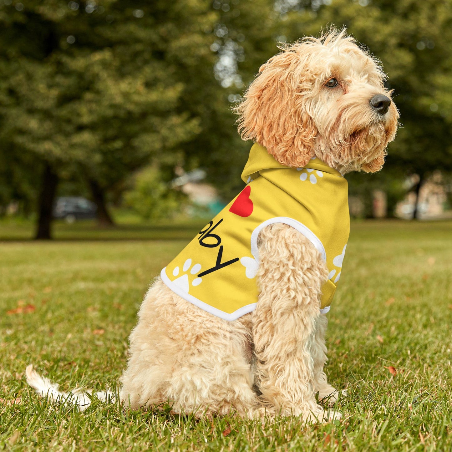 The Pawsitively Bright Dog Hoodie
