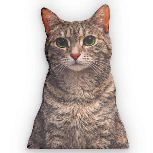 Coltrane Pillow Pet