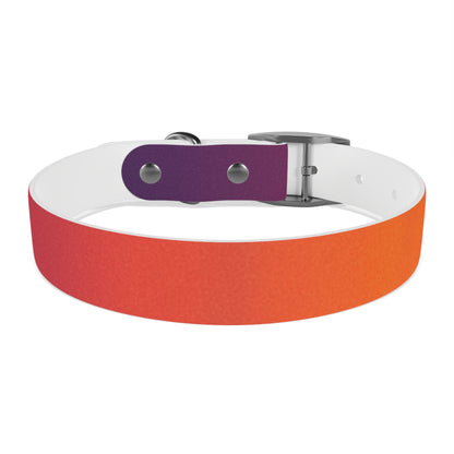 Vibrant Gradient Dog Collar