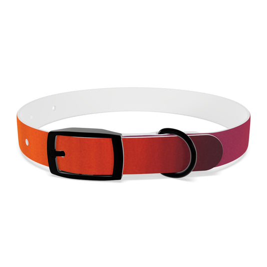 Vibrant Gradient Dog Collar