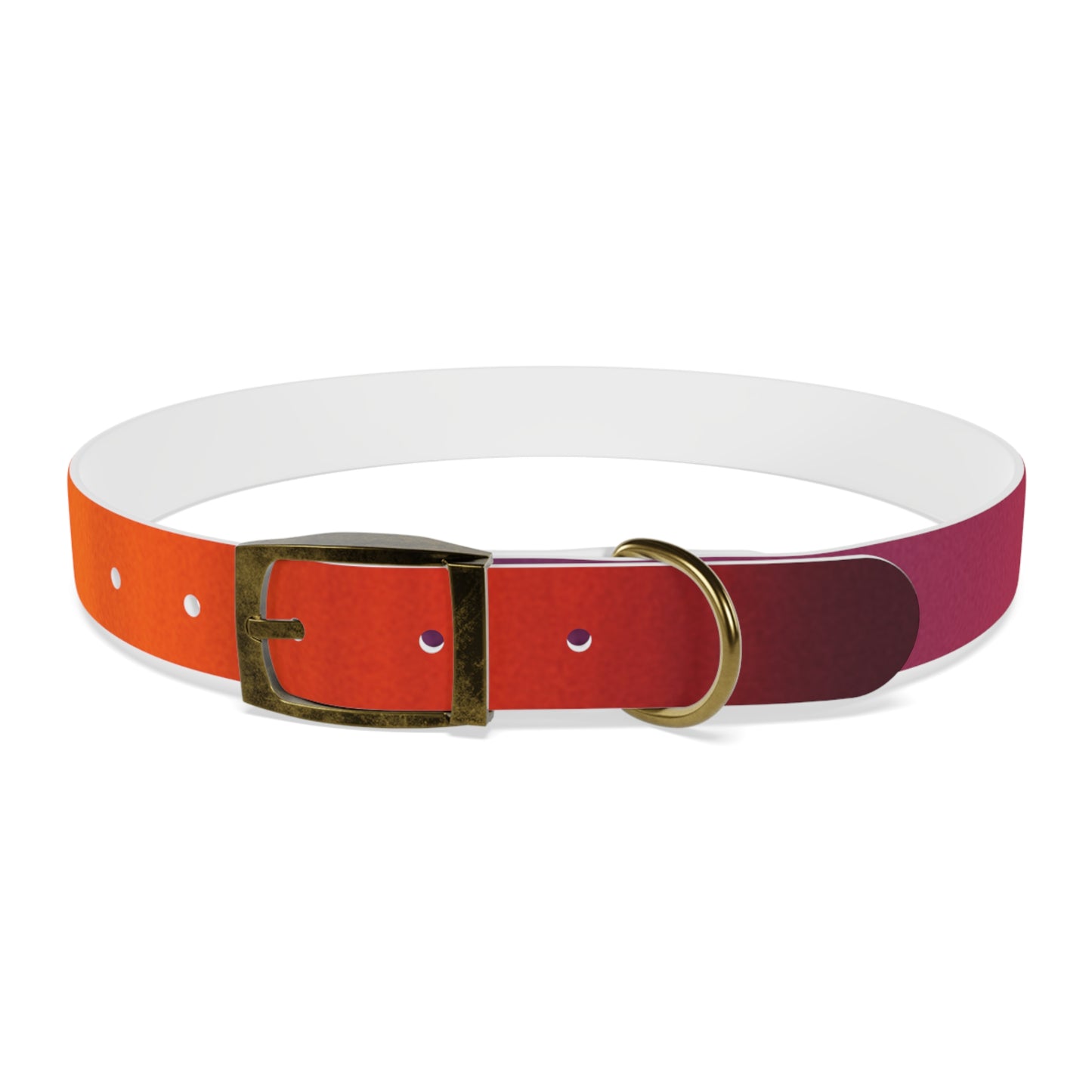 Vibrant Gradient Dog Collar