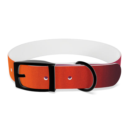 Vibrant Gradient Dog Collar