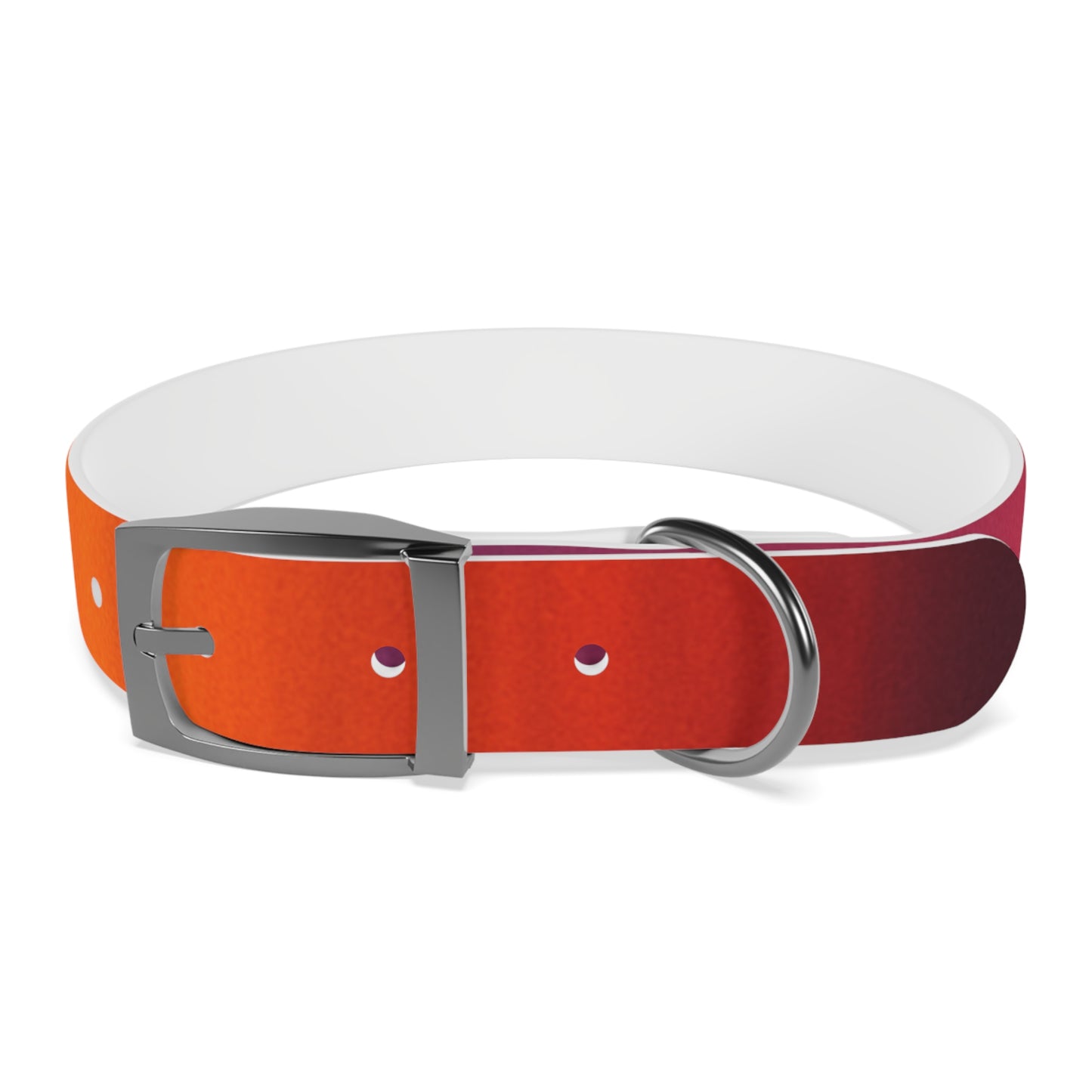 Vibrant Gradient Dog Collar