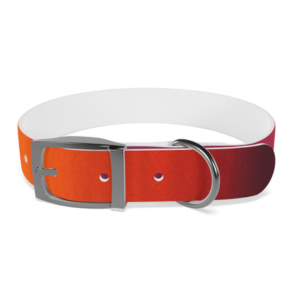 Vibrant Gradient Dog Collar