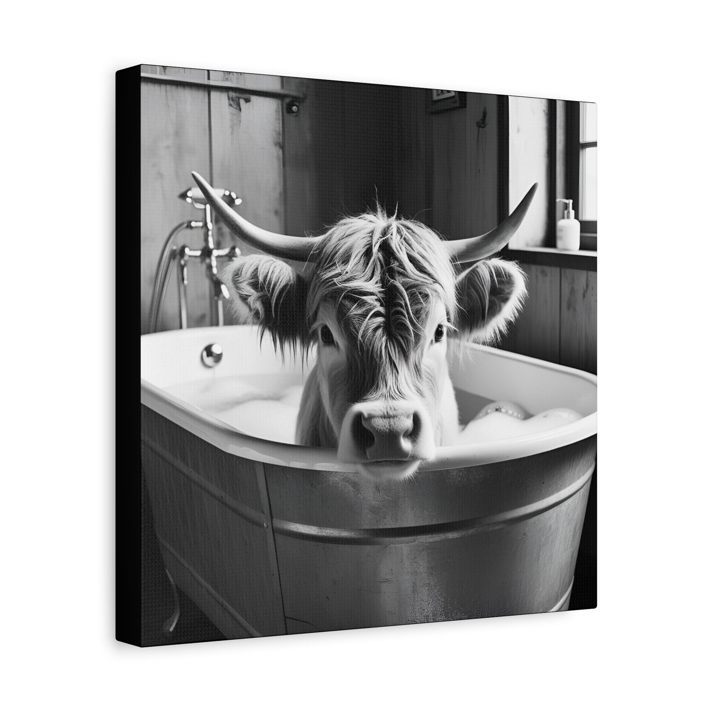 Highland Cow Bubbles Wall Art