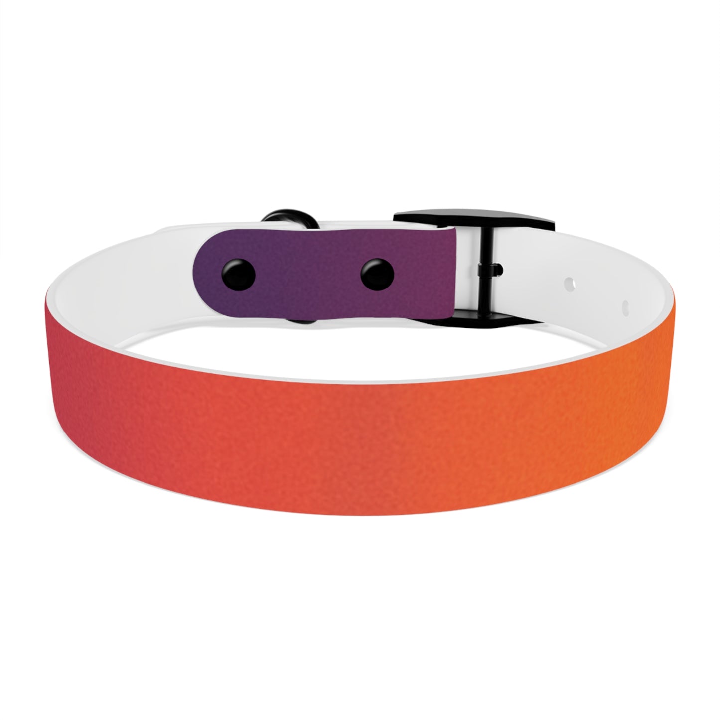 Vibrant Gradient Dog Collar