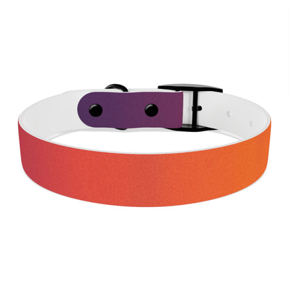 Vibrant Gradient Dog Collar