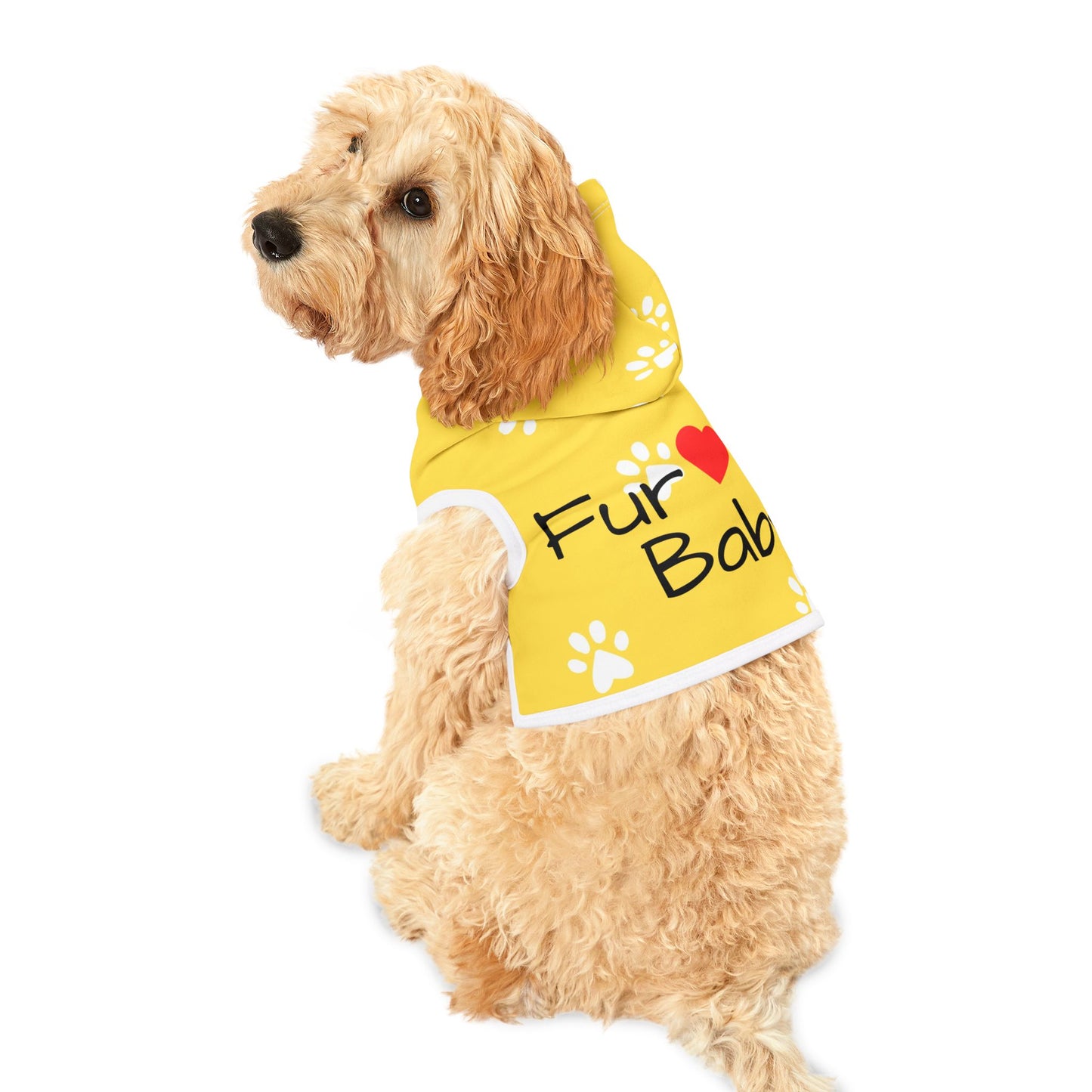 The Pawsitively Bright Dog Hoodie