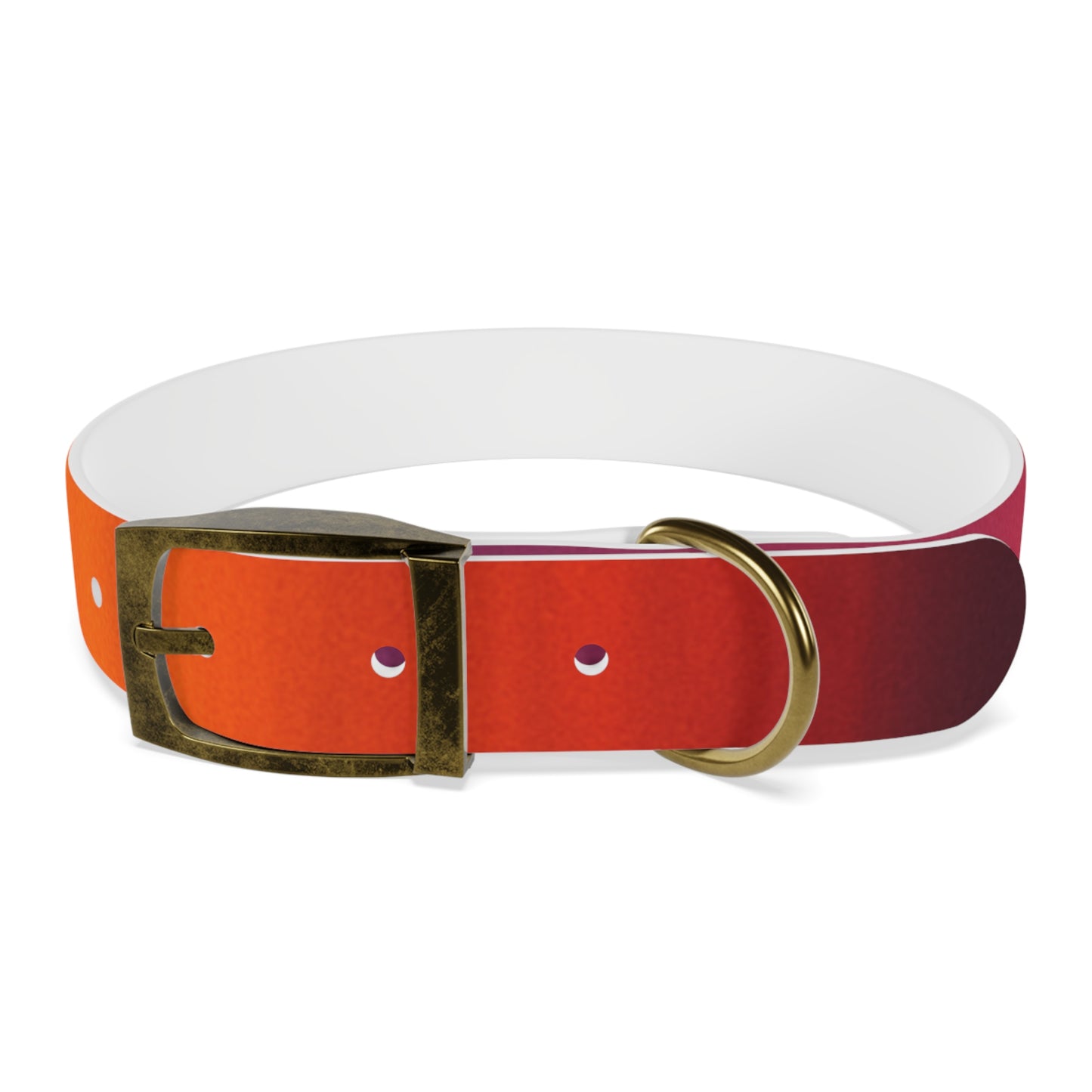 Vibrant Gradient Dog Collar