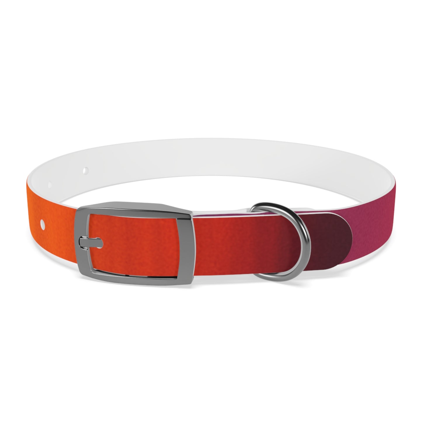 Vibrant Gradient Dog Collar