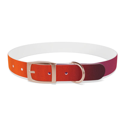 Vibrant Gradient Dog Collar