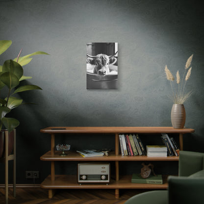 Highland Cow Bubbles Wall Art